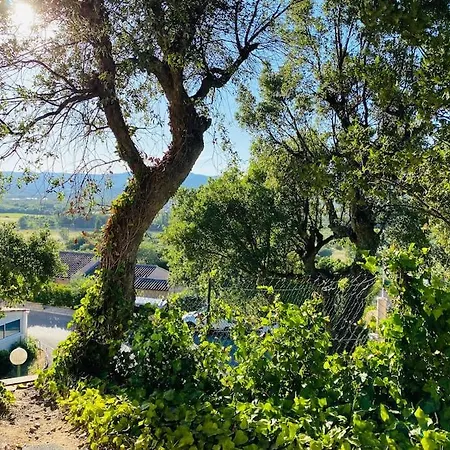 Appartement Studio De Vacances Dans Résidence Avec Piscine Cogolin