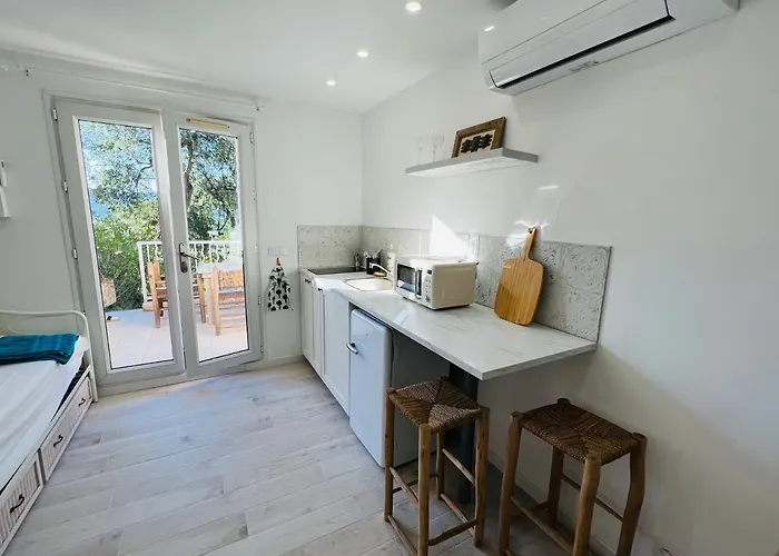 Studio De Vacances Dans Avec Piscine Apartment Cogolin